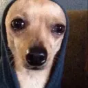 엉덩이덩이