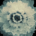 Discovery icon for 𝗦𝗭𝗘𝗦𝗭 👑 𝗟𝗔𝗡𝗗  | ⓟⓥⓧⓗⓤⓑ Discord server