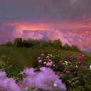 🍓⭐𝓟𝓪𝓷𝓮𝓬𝓲𝓽𝓸𝓼 𝓭𝓮 𝓬𝓸𝓬𝓸⭐🍓