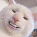 앙큼이들😘