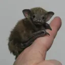 i am very small