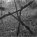 Found Footage Movies