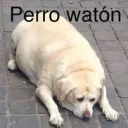 buenas