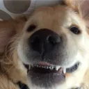табор