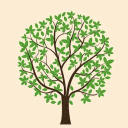 IITM BS Students banner