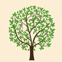 Discovery icon for IITM BS Students Discord server