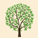 IITM BS Students icon