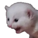 Koupip's Server