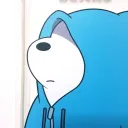 koalas