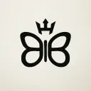 BB Explorers