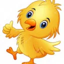 Pollito Gang