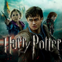 Harry Potter Fan server