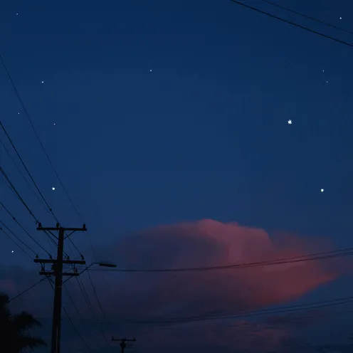 𝗦𝗽𝗮𝗰𝗲 𝗖𝗶𝘁𝘆 🌌 — мониторинг Discord сервера, статистика и рейтинг