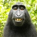 Monke discord icon