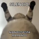 La Taberna del Gatito Kchero