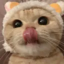 ᓚᘏᗢ CatBot ʕ •ᴥ•ʔ Support