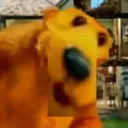 bear with a dfuck house