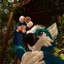 Meelo's VR Family