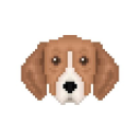 🐕 𝓓𝓞𝓖𝓖𝓨 𝕘𝕒𝕞𝕚𝕟𝕘 𝕔𝕠𝕞𝕞𝕦𝕟𝕚𝕥𝕪💎