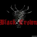 Black Crown Gaming