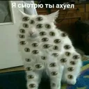 твиттер точка ком