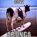 🐒Monkey Gang🐒's icon