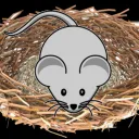 The Rats Nest