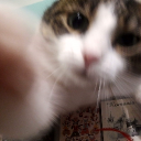 Discovery icon for Lovely 💕 Discord server