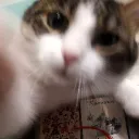 Lovely | Make Friends 💖🌈