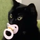 Kuropi Stream