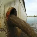 The Community Dump