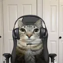 CatCord