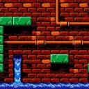 the mulch gulch