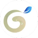 Graine de TOA