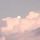 🌸☁