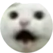 zap's offsite emote server TWO