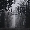 evermore