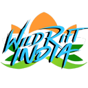 Wild Rift India icon