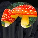 mycocraft