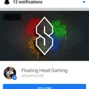 FloatingHeadOfficial's server