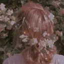 halcyon