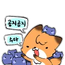 댕균의 방송 서버