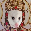 Possum Mafia