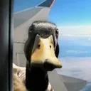 aflac duck