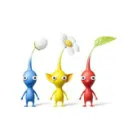 team.IN_dhukusi