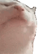 Kitty Krystl Twitch Server :3