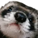 Joe's server