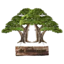 The Commission