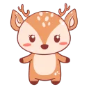 Doe Beauty