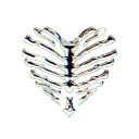 ᴘʟᴀɴᴇᴛ ♢ ᴅᴀʟᴇɢɪᴏɴ